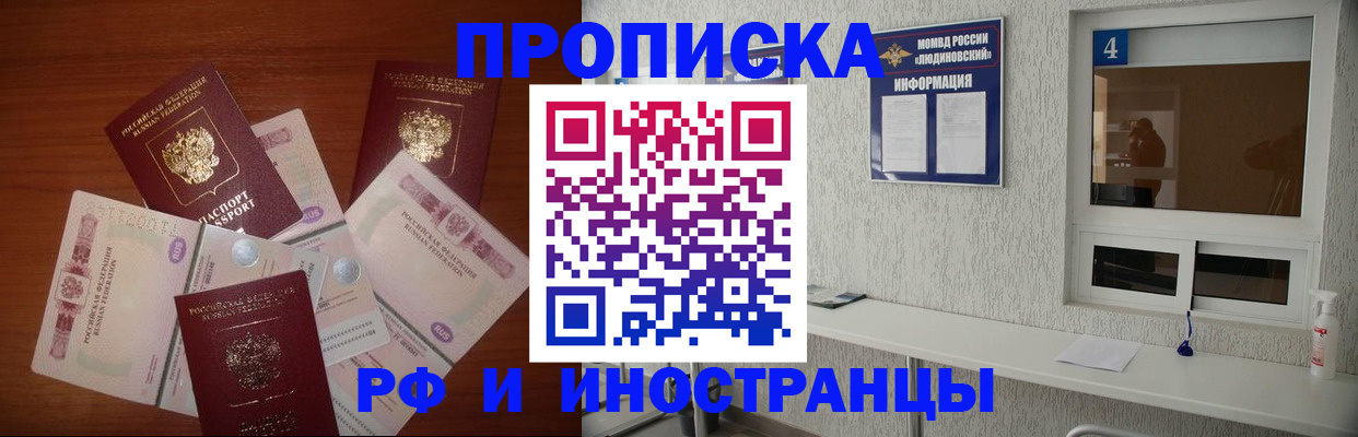 прописка ребенка в Пионерском